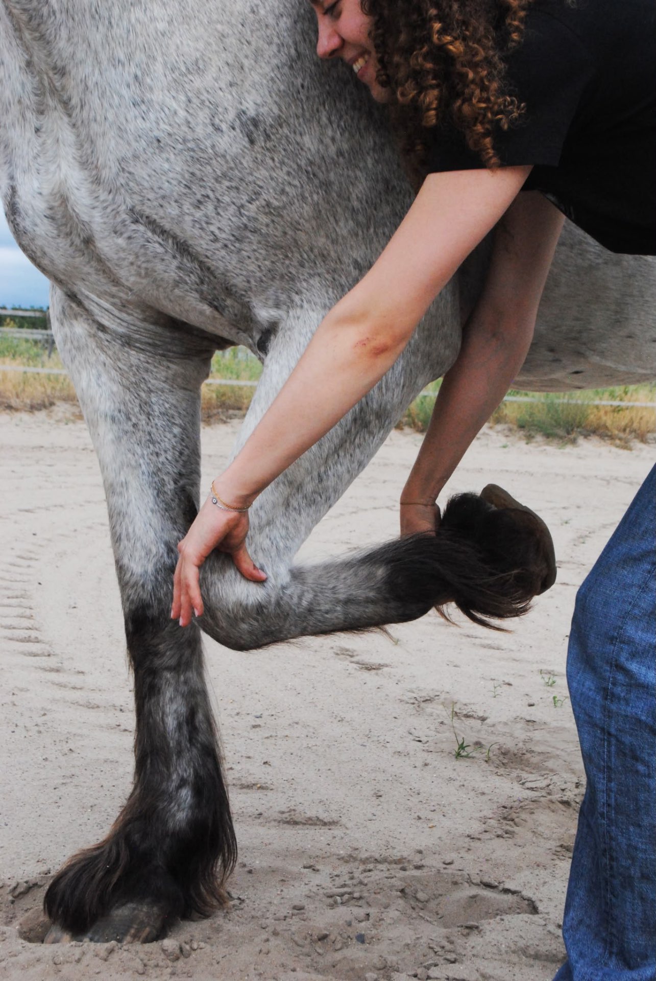 Ronja Sühlo bei der Behandlung eines Pferdebeins