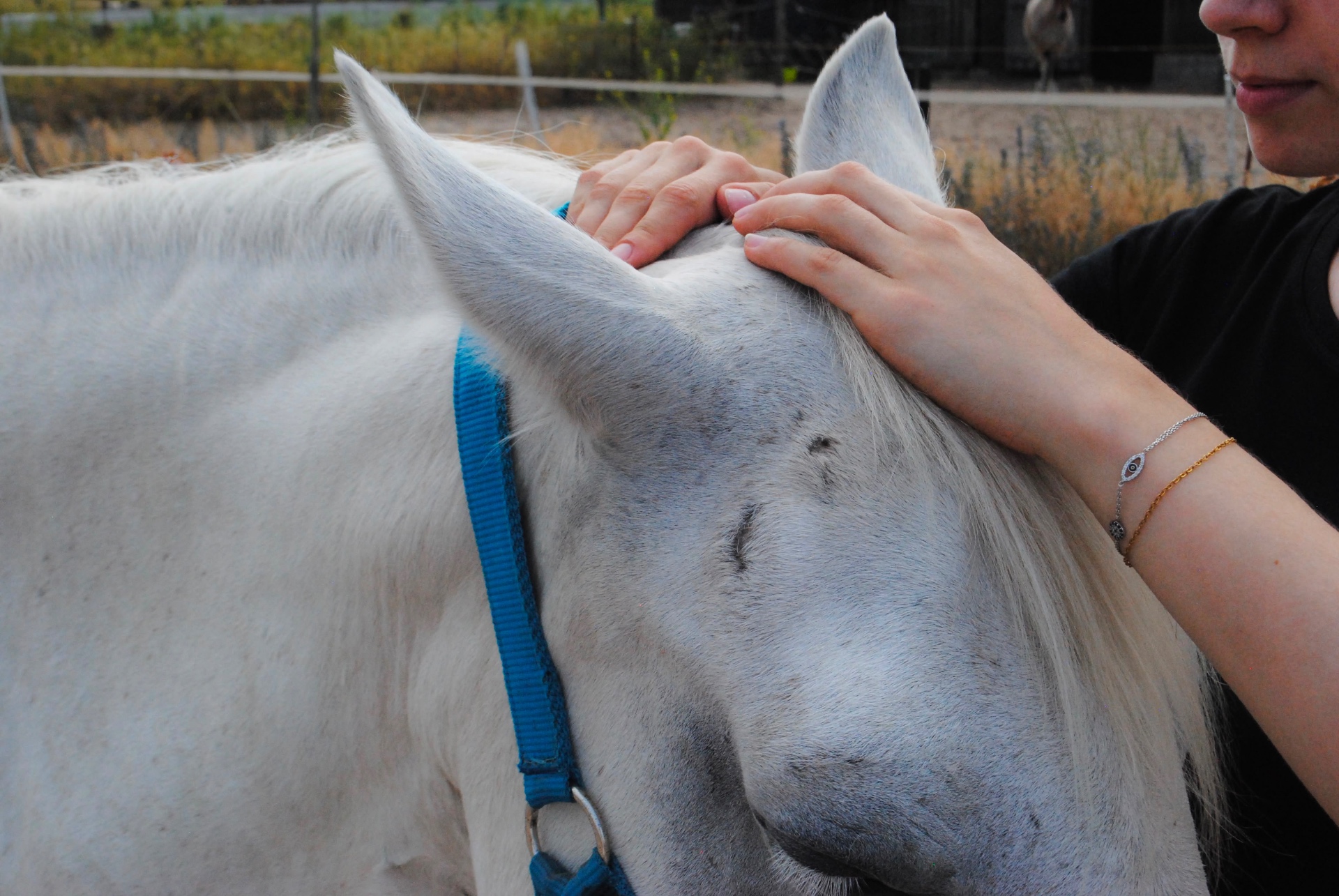 Craniosacrale Therapie